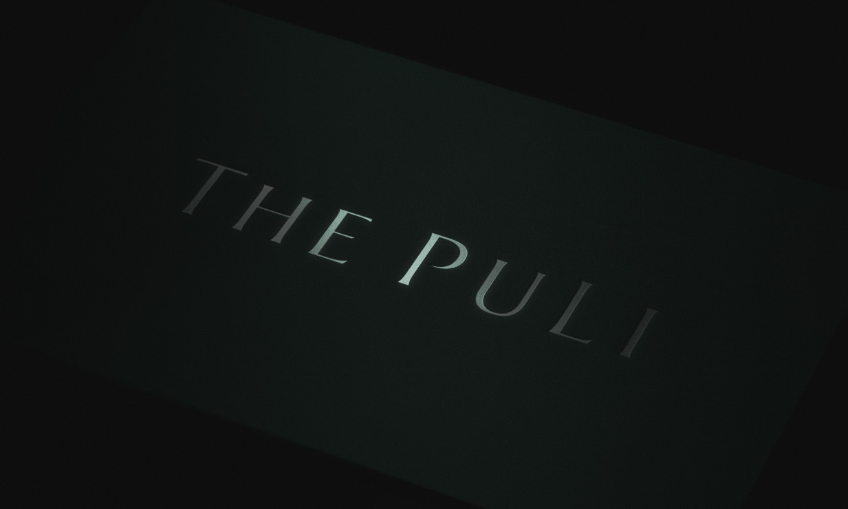 The PuLi